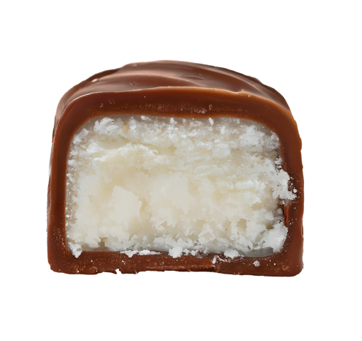 Champs Bio Coconut-Creme-Riegel – Vincent